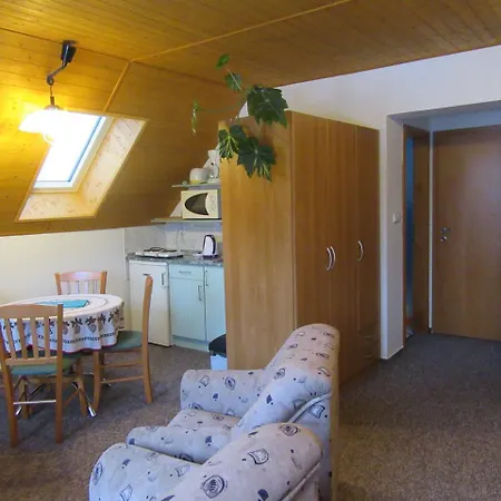 Apartment Dvoraku Janske Lazne Exterior photo