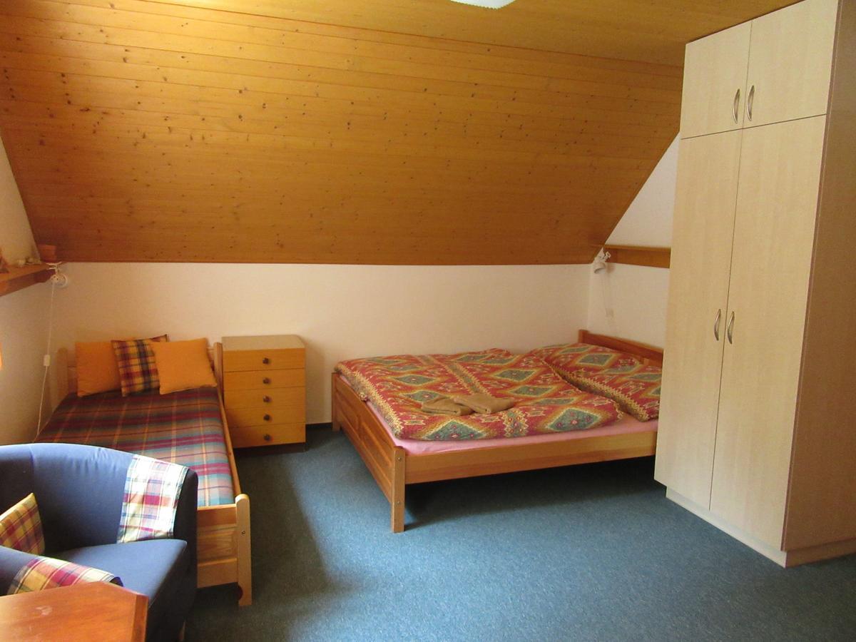 Dvoraku Apartment Janske Lazne
