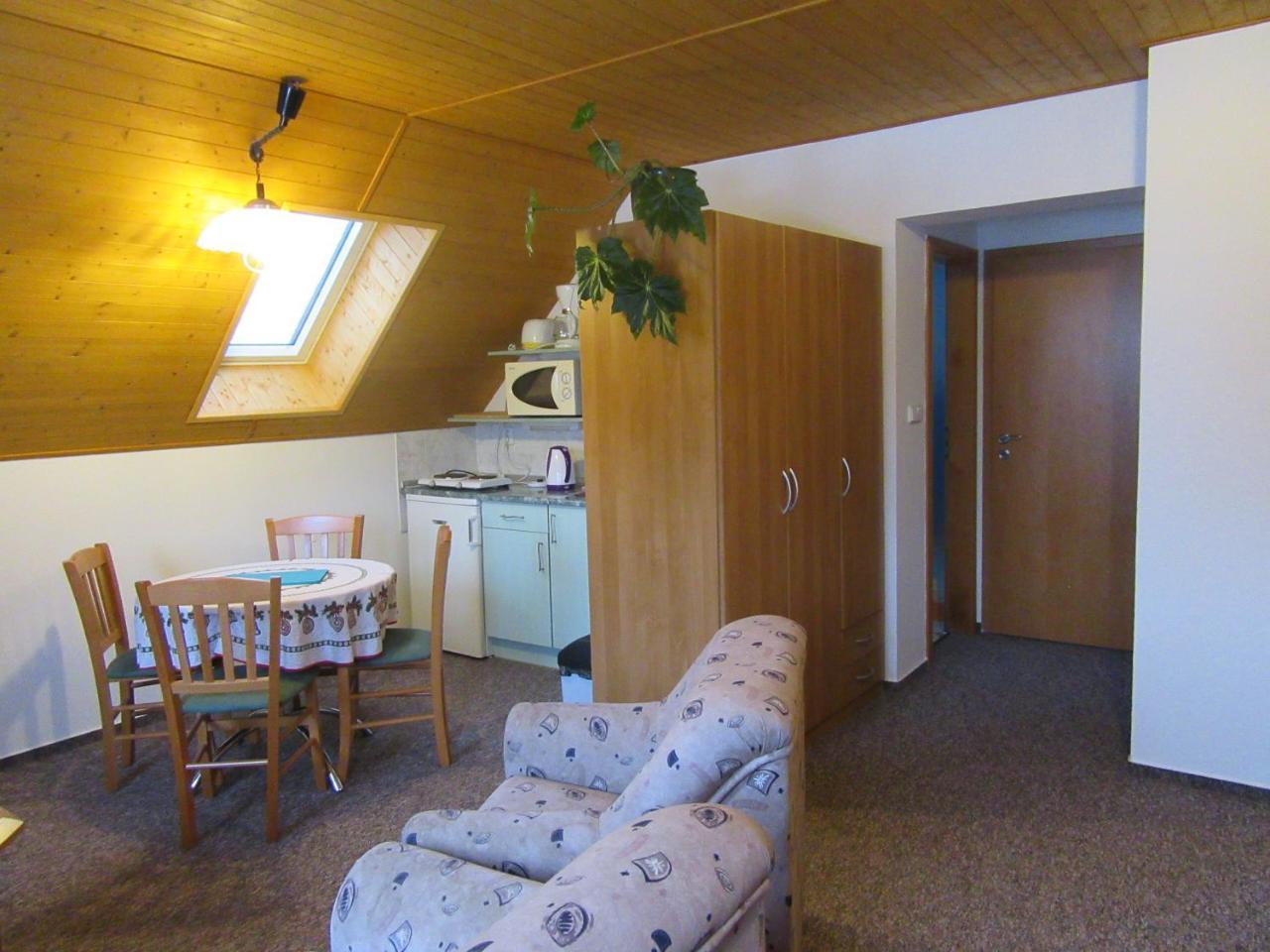Apartment Dvoraku *